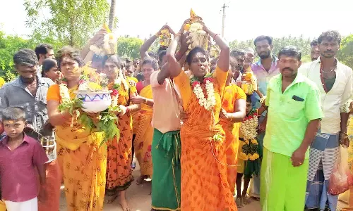பாம்பலம்மன் கோவில் முளைப்பாரி திருவிழா