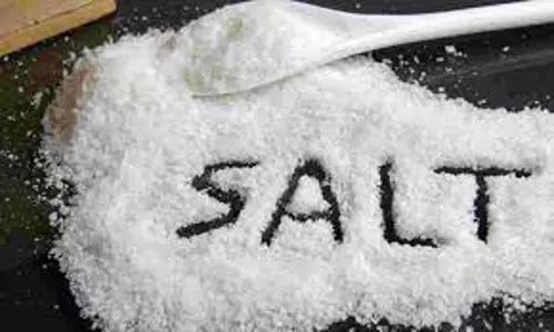 உப்பில் அயோடின் கண்டறியும் ஆய்வு