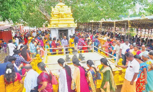 நாகராஜா கோவிலில் இன்று பக்தர்கள் கூட்டம் அலைமோதியது