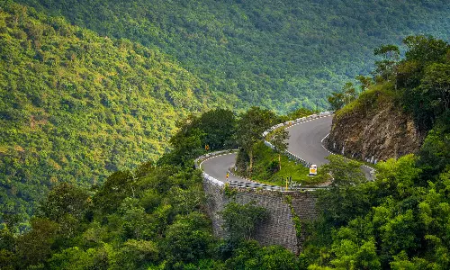 பசுமையாக காட்சி அளிக்கும் தாளவாடி-பர்கூர் வனப்பகுதிகள்