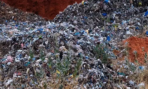 பாவூர்சத்திரம் அருகே விவசாய நிலத்தில் கொட்டப்பட்ட கேரள கழிவுகள்