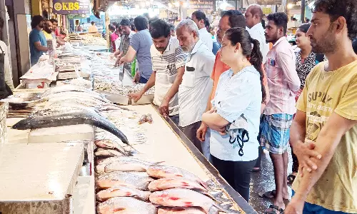 வேலூர் மீன் மார்க்கெட்டில் மீன்கள் விலை குறைந்ததால் அசைவ பிரியர்கள் மகிழ்ச்சி