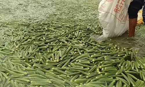 விலை வீழ்ச்சி இல்லை என அதிகாரிகள் தகவல்