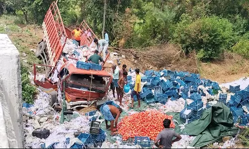 லாரி கவிழ்ந்து 6 டன் மாதுளை, கொய்யா நாசம்