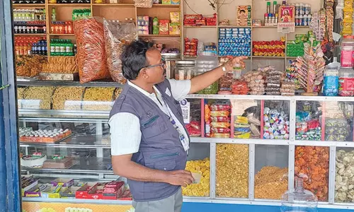 பாலக்கோடு அருகே  ஓட்டல், பேக்கரி, மளிகை கடைகளில் உணவு பாதுகாப்புத்துறை அதிகாரி ஆய்வு