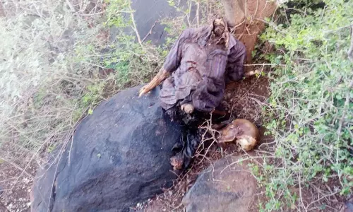 ஒகேனக்கல் வனப்பகுதியில் அடையாளம் தெரியாத ஆண் பிணம் மீட்பு