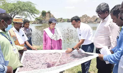 சிக்கராயபுரம், மலையம்பாக்கத்தில் செயல்படாத கல்குவாரியில் தேங்கிய மழைநீர் குறித்து ஆய்வு- கலெக்டர் பார்வையிட்டார்