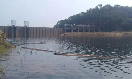 அணை பகுதிகளில் தொடர் மழை: சேர்வலாறு அணை நீர்மட்டம் ஒரே நாளில் 11 அடி உயர்வு