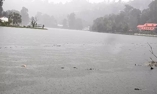 கொடைக்கானலில் தொடர்மழையால் வெறிச்சோடிய சுற்றுலா தலங்கள்