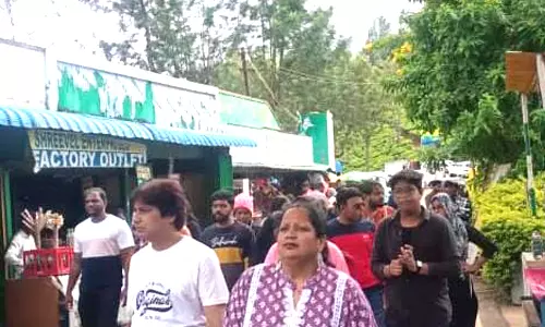 2-வது சீசனுக்கு தயாராகும் நீலகிரி சுற்றுலா பயணிகள் வரத்து அதிகரிப்பு