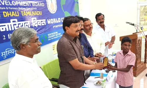 தென்னையில் 50 வகை சத்தான உணவுப் பொருட்கள் -உலக தென்னை தின விழாவில் தகவல்