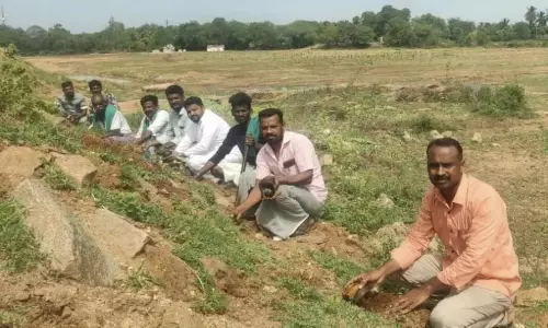 பனை விதைகள் நடும் நிகழ்ச்சி