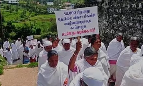 நீலகிரியில் தொடரும் போராட்டம்: தேயிலை விவசாயிகள் 4-வது நாளாக உண்ணாவிரதம்