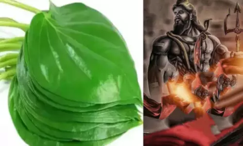 வீரபத்திரரை எப்போது வழிபாடு செய்யலாம்?