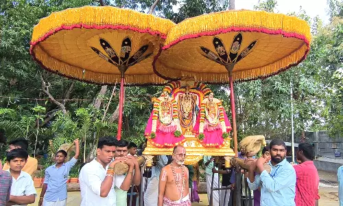 மேட்டுப்பாளையம் அருகே தென்திருமலை பெருமாள் கோவிலில் பவித்ரோற்சவம்