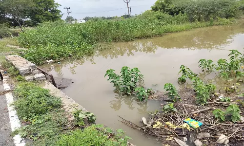 திருக்கோவிலூர் பெரிய ஏரிக்கு ஆற்று நீர் செல்லும் வாய்க்காலை அடைத்துள்ள சமூக விரோதிகள் நடவடிக்கை எடுக்க விவசாயிகள் கோரிக்கை