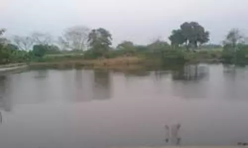 கொட்டப்பட்டு குளத்தில் வண்ண விளக்குகள் பொருத்தும் பணி