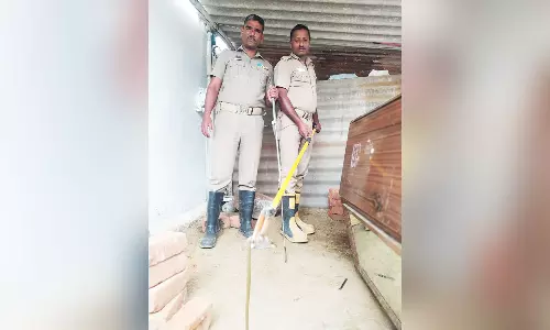 வீட்டிற்குள் புகுந்த பாம்பு மீட்பு