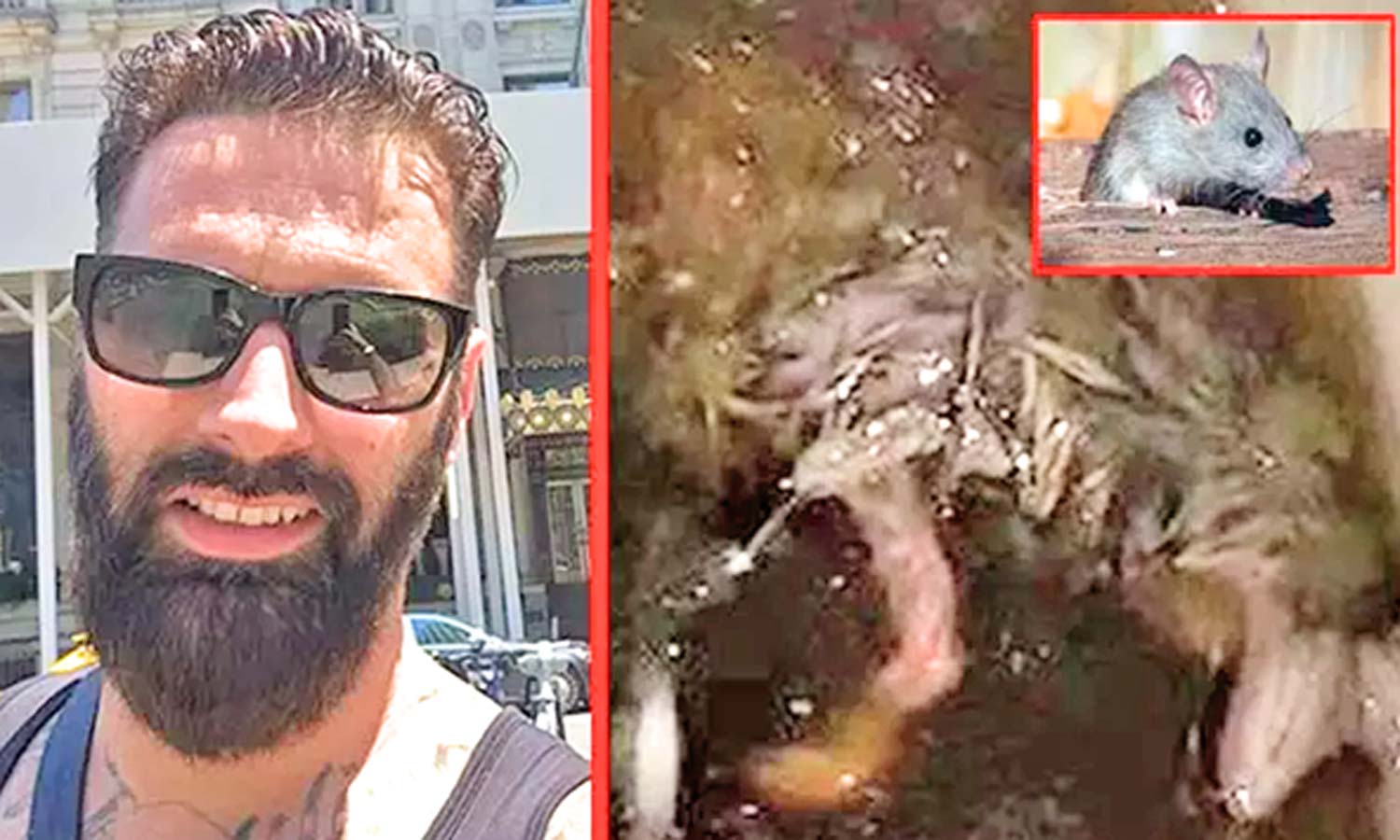 காளான் சூப்பில் மிதந்த எலி- அதிர்ச்சி வீடியோ வைரல்