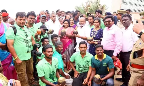 76 ஆயிரம் பனை விதைகள் நடப்பட்டது