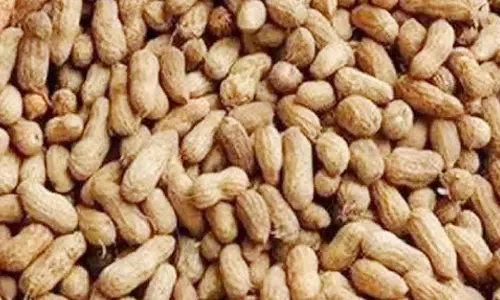 எழுமாத்தூர், கொடுமுடி ஒழுங்குமுறை விற்பனைக் கூடங்களில் ரூ.95 லட்சத்துக்கு விளைபொருட்கள் விற்பனை