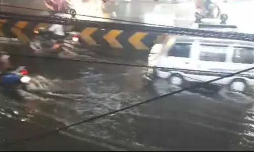 தருமபுரி,கிருஷ்ணகிரி மாவட்டங்களில் இடி மின்னலுடன் கனமழை கொட்டி தீர்த்தது