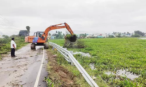 பிடமனேரி ஏரியில்  ஆகாயத்தாமரையை அகற்றும் பணி தீவிரம்