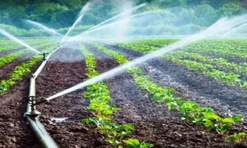 சொட்டு நீர்ப்பாசனம் அமைக்க மானியம் விவசாயிகளுக்கு தோட்டக்கலை உதவி இயக்குனர் அழைப்பு