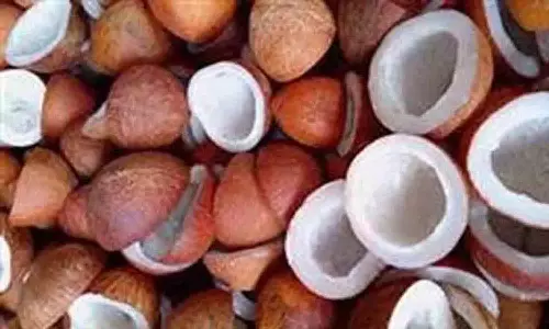 வெள்ளகோவிலில் ரூ.75 லட்சத்திற்கு தேங்காய் பருப்பு விற்பனை