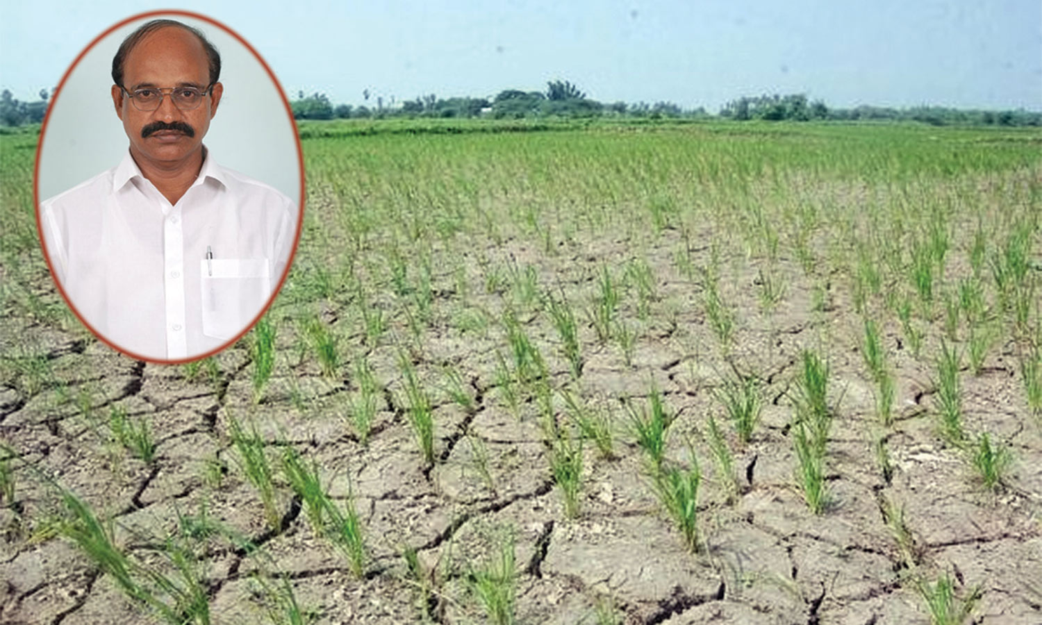 டெல்டா மாவட்டங்களில் எஞ்சிய குறுவையை காப்பாற்ற உரிய நீர் கிடைக்குமா?: காத்திருக்கும் விவசாயிகள்