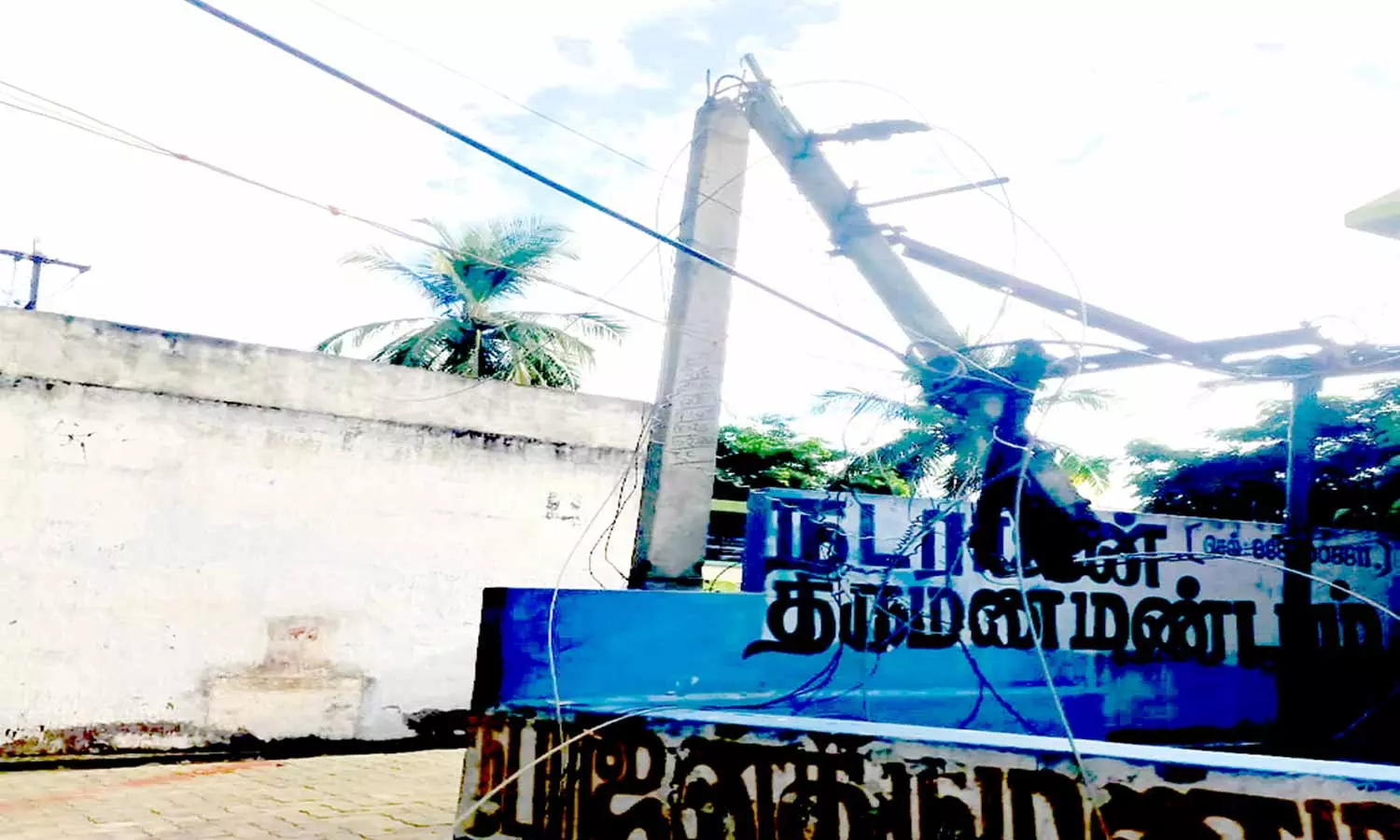 மரக்கிளை முறிந்து விழுந்து மின்கம்பம் துண்டானது மரக்கிளை முறிந்து விழுந்து மின்கம்பம் துண்டானது