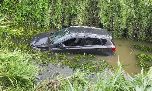 கட்டுப்பாட்டை இழந்து வாய்க்காலில் பாய்ந்த கார்- என்.எல்.சி. என்ஜினியர் மனைவியுடன் தப்பினார்