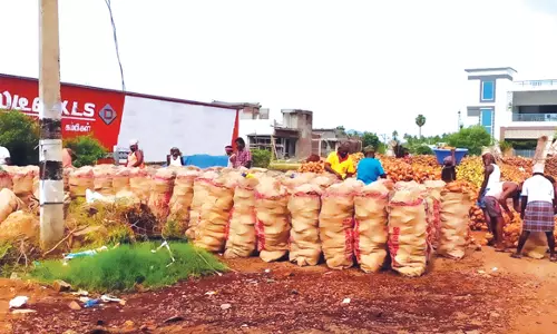 விநாயகர் சதுர்த்தியைெயாட்டி வடமாநிலங்களுக்கு தேங்காய் கொள்முதல் அதிகரிப்பால் விலை உயர்வு