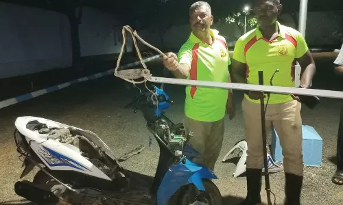 குமரி பழத்தோட்டத்தில் இருசக்கர வாகனத்தில் பதுங்கி இருந்த விஷப்பாம்பு