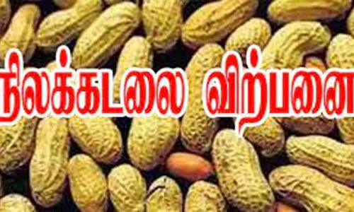 சாலைப்புதூரில் நிலக்கடலை ரூ.5 லட்சத்துக்கு விற்பனை