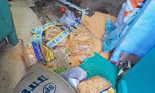 ஊட்டியில் கடைகளை சேதப்படுத்தி பொருட்களை சூறையாடிய யானைகள்