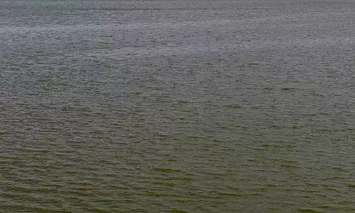 சென்னையில் நிலத்தடி நீர்மட்டம் உயர்வு: திரு.வி.க.நகரில் அதிகபட்சமாக 1.74 மீட்டர் கூடியுள்ளது