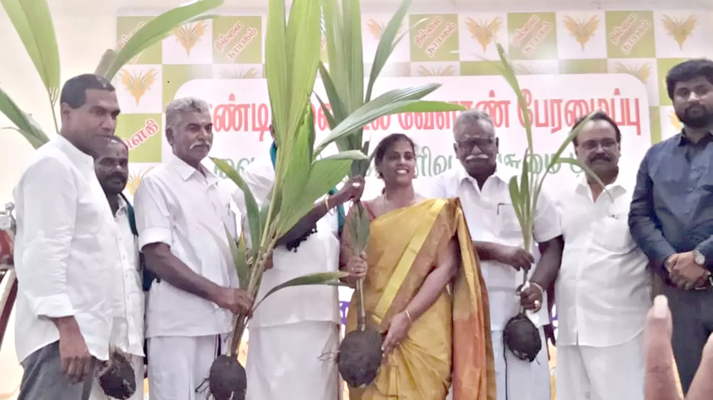 இலவச தென்னை மரக்கன்றுகள்