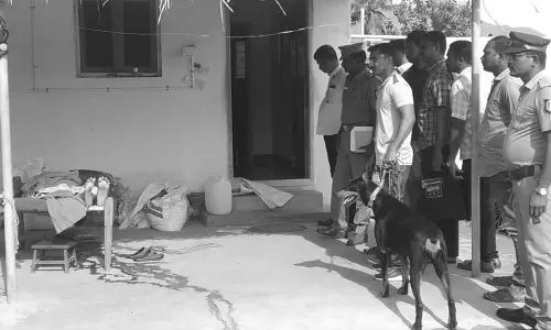 மூதாட்டியை கழுத்தை அறுத்து கொன்று பணம்-நகை கொள்ளை: மர்மநபர்களுக்கு வலைவீச்சு