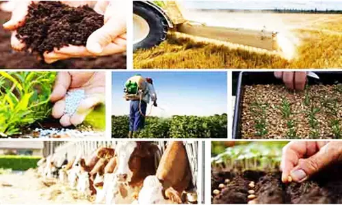 கபிலர்மலை வட்டாரத்தில் வேளாண் இடுபொருட்களுக்கு மானியம்