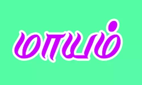 ரூ. 3 லட்சம் மதிப்புள்ள 30 பன்றிகள் மாயம்