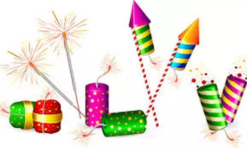 கோவையில் விநாயகர் சிலை ஊர்வலத்தில் பட்டாசு வெடிக்க தடை