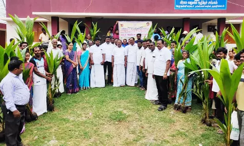 நல்லம்பள்ளி பகுதியில் தென்னங்கன்று வழங்கும் நிகழ்ச்சி