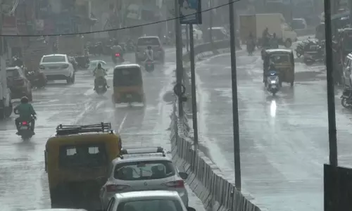 தருமபுரி மாவட்டத்தில் பரவலாக மழை பெய்தது