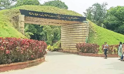 செம்மொழி பூங்காவில் இன்று பட்டாம்பூச்சி கணக்கெடுக்கும் பணி- ராணி மேரி கல்லூரி மாணவிகள் பங்கேற்பு