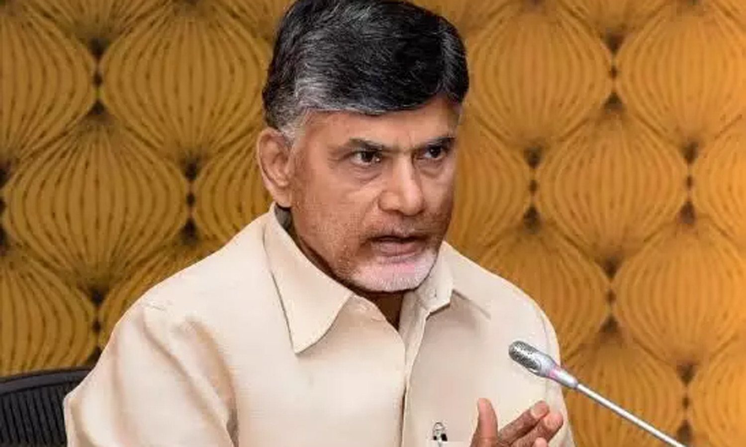 அரசியல் பழிவாங்கும் நடவடிக்கையாக கைது: சந்திரபாபு நாயுடு பேட்டி