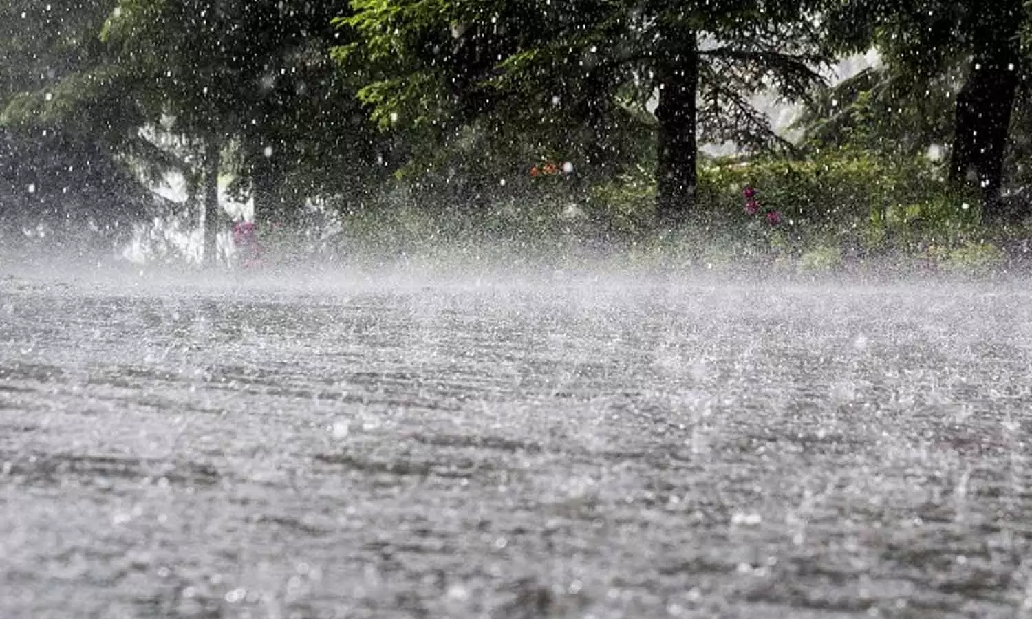 பருவமழை முன்னெச்சரிக்கை: சப்-கலெக்டர் நேரில் சென்று ஆய்வு