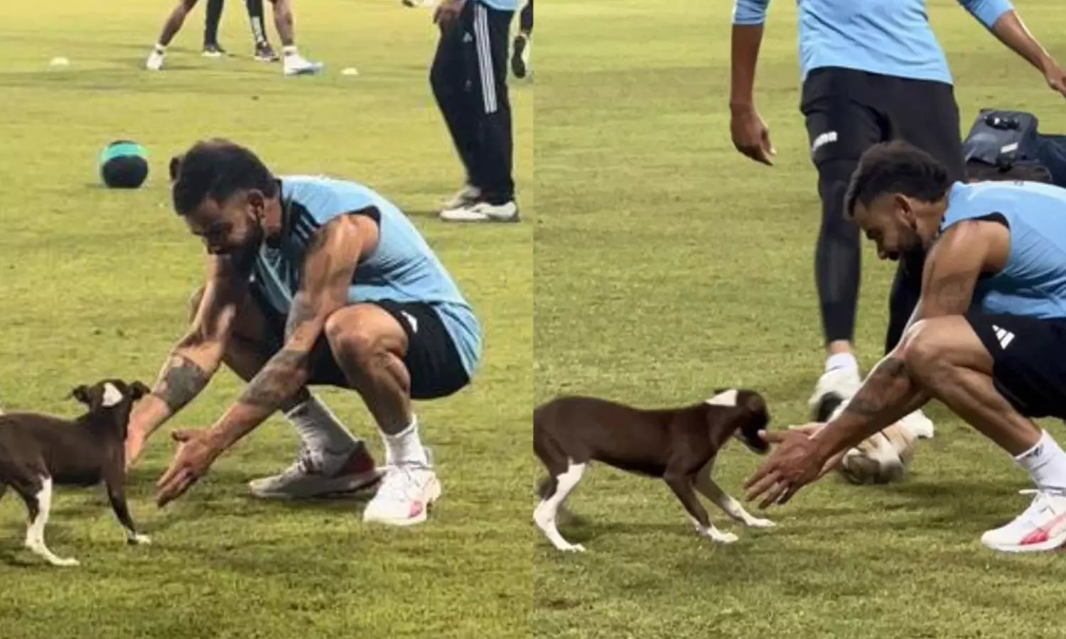 பயிற்சியின் போது நாய்க்குட்டியுடன் விளையாடிய கோலி- வைரலாகும் வீடியோ