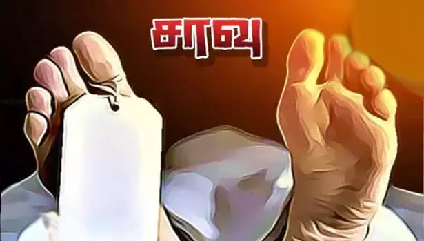 நாய்கள் குறுக்கே வந்ததால் மோட்டார் சைக்கிளில் சென்ற தொழிலாளி பள்ளத்தில் விழுந்து சாவு