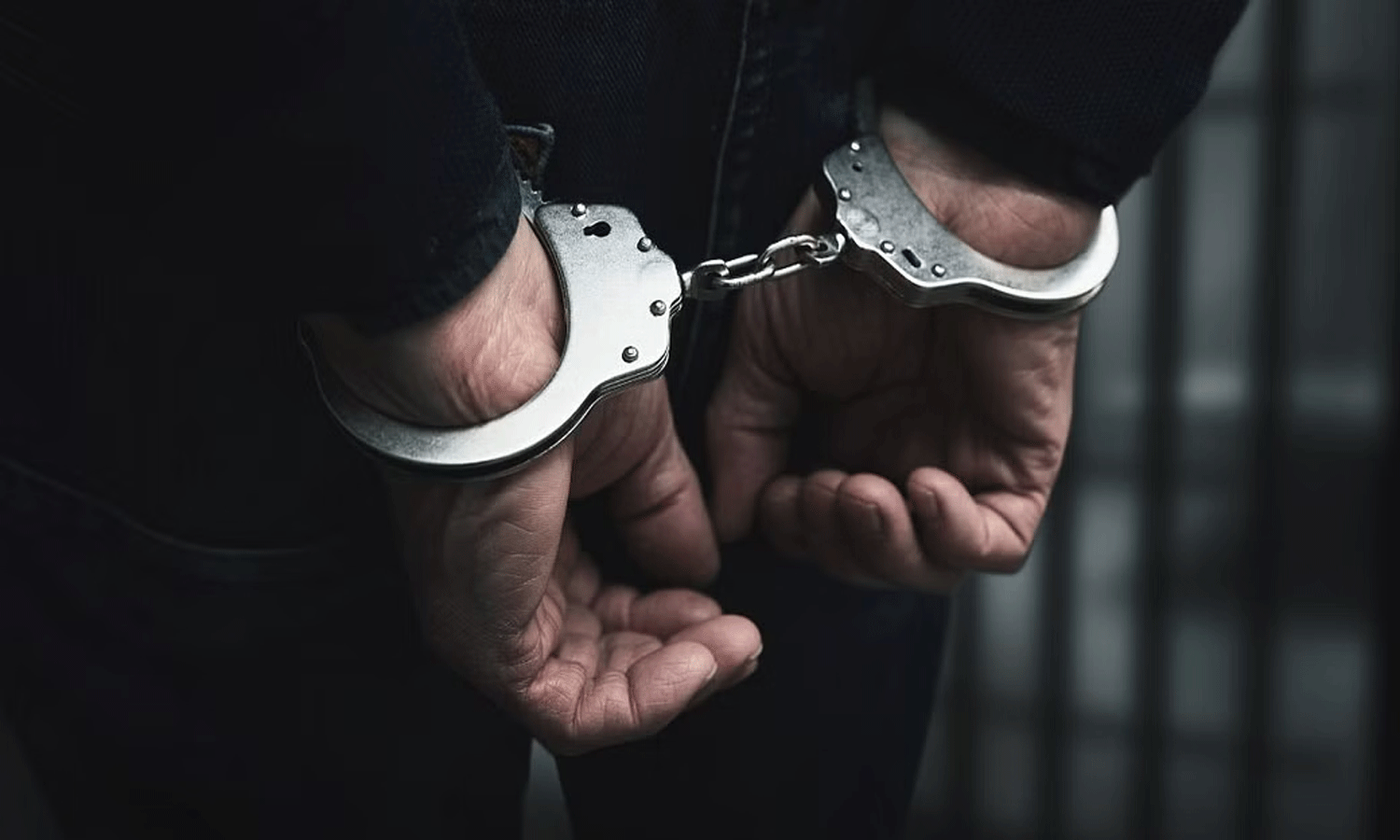 விவசாயி வீட்டில் திருடிய சேலம் வாலிபர் கைது